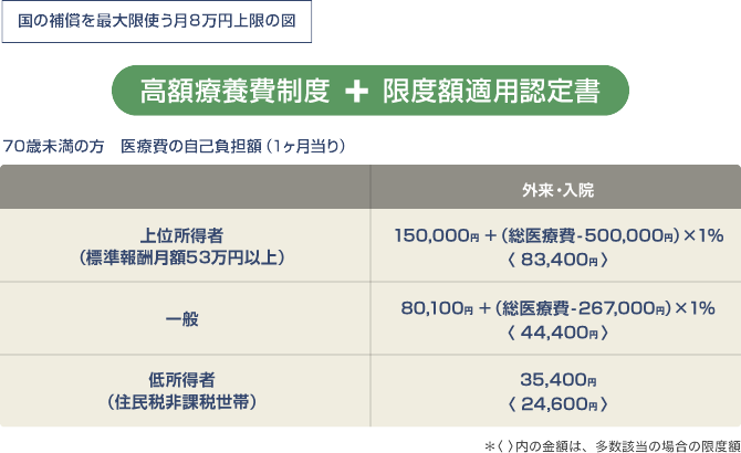 国の補償を最大限使う月8万円上限の図